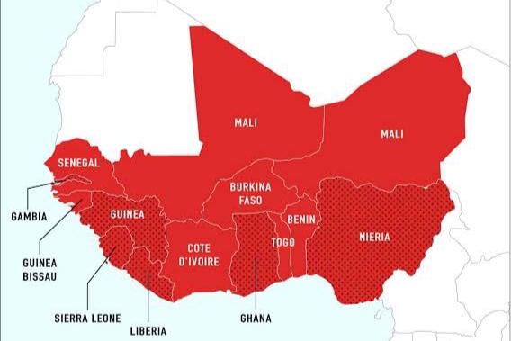 West Africa economy projected to grow 4.6% in 2026